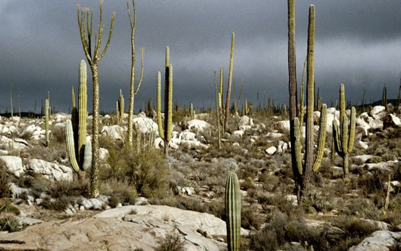 El desierto no es solo un lugar físico, sino también de pruebas.